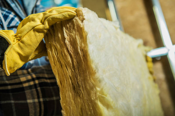 Best Insulation Removal  in Cochituate, MA